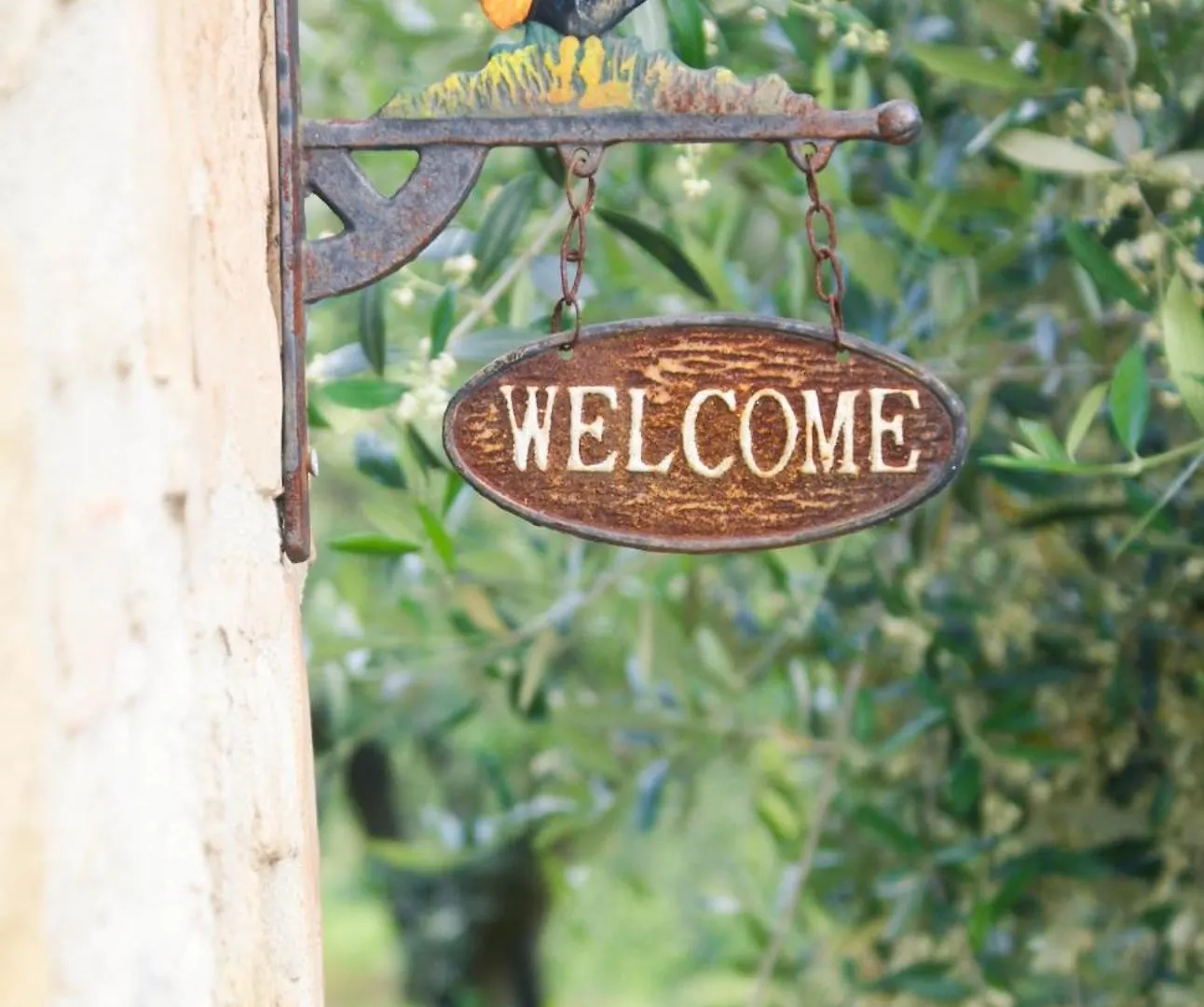 Apartmán Appartamenti Leccino E Moraiolo Montecchio